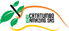 logo-verde-catatumbo-amazing-sas-pos